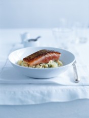 salmon with fennel and lemon risotto